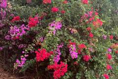 IMG-20261014-WA0029