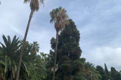 IMG-20261014-WA0032