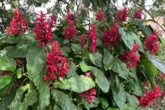 IMG-20261014-WA0033