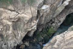 IMG-20261014-WA0034