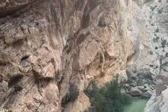 IMG-20261014-WA0037