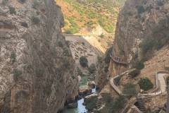 IMG-20261014-WA0039