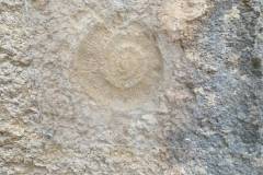 IMG-20261014-WA0046