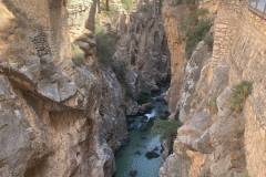 IMG-20261014-WA0050
