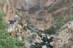 IMG-20261014-WA0053