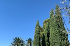 IMG-20261014-WA0059