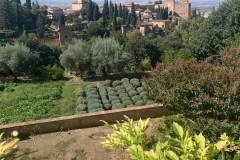 IMG-20261014-WA0062