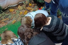 received_3388912301392236