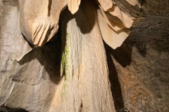 IMG-20241009-WA0013