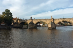 IMG-20241008-WA0041