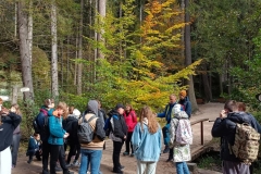 IMG-20241008-WA0019