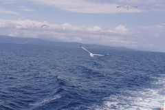 285842071_550040056649613_1758415932090294744_n