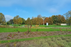 IMG-20221007-WA0005